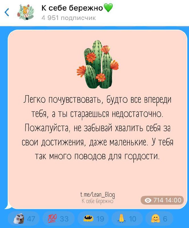 Скриншот поста с изображением кактуса и коротким текстом о том, чтобы хвалить себя; интерфейс мессенджера с реакциями и статистикой просмотров