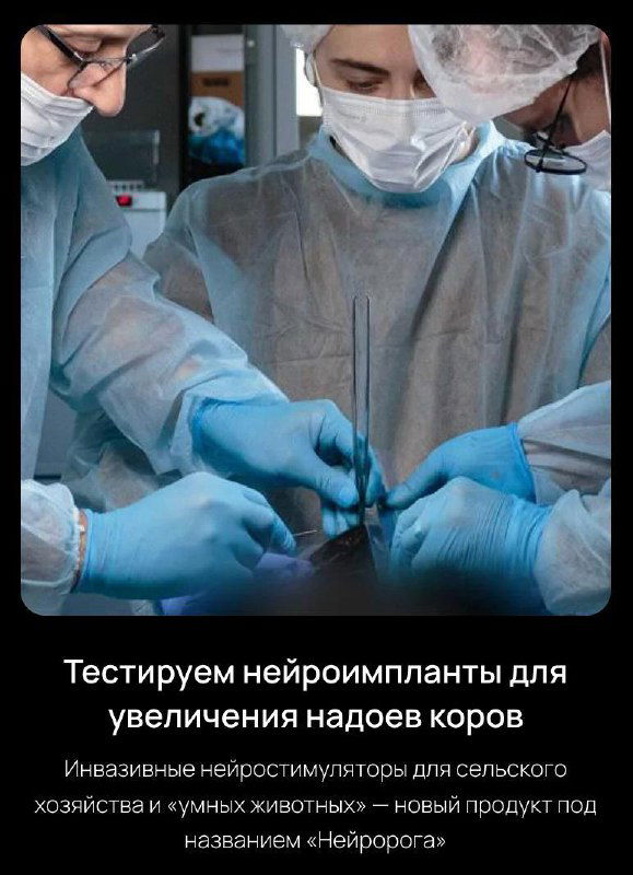 Операционная сцена: хирурги в масках и стерильных перчатках выполняют манипуляции — иллюстрация тестирования нейроимплантов и медицинских вмешательств.