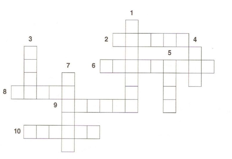 Кроссворд на испанском: тема «Природа»