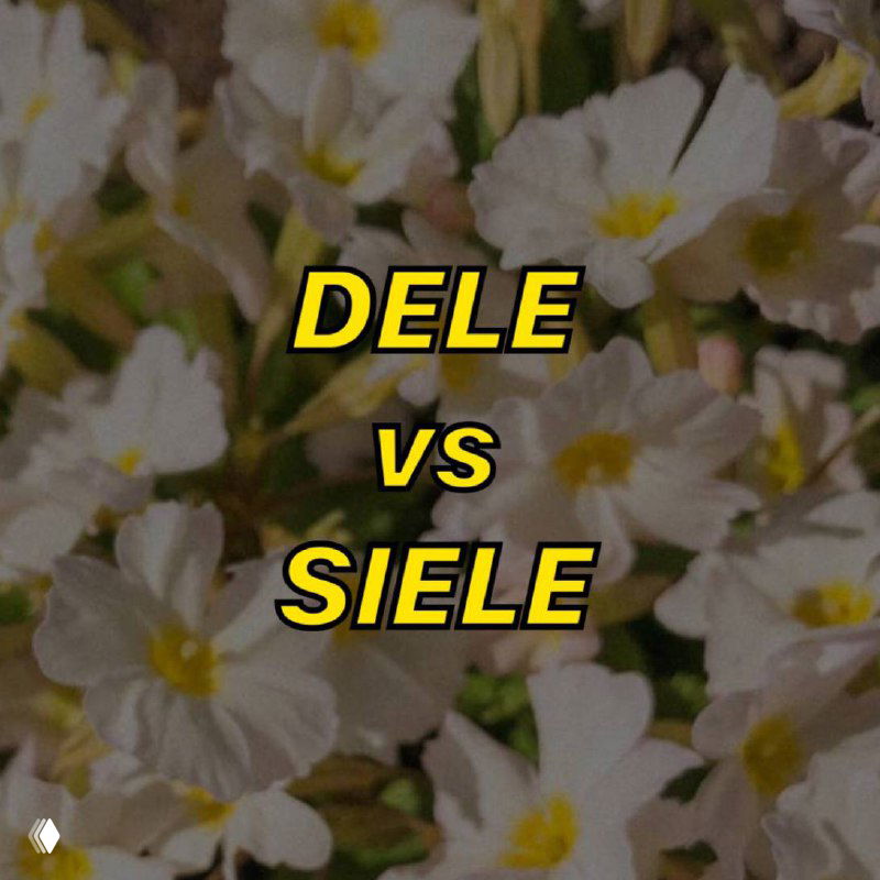 DELE и SIELE — кратко о двух экзаменах