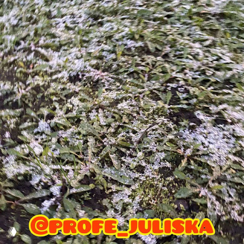 Мой маленький дайджест: топ тем и новость дня