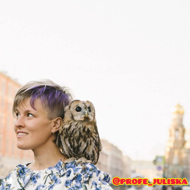 Подготовка к экзаменам по‑испанскому: DELE, SIELE, CCSE