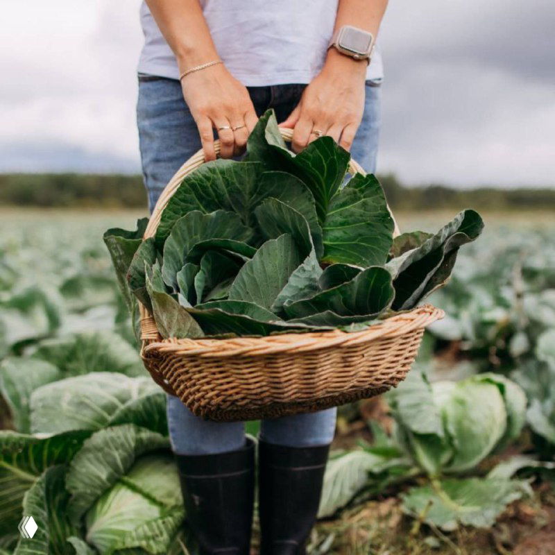 Форматы занятий по испанскому от Juliska