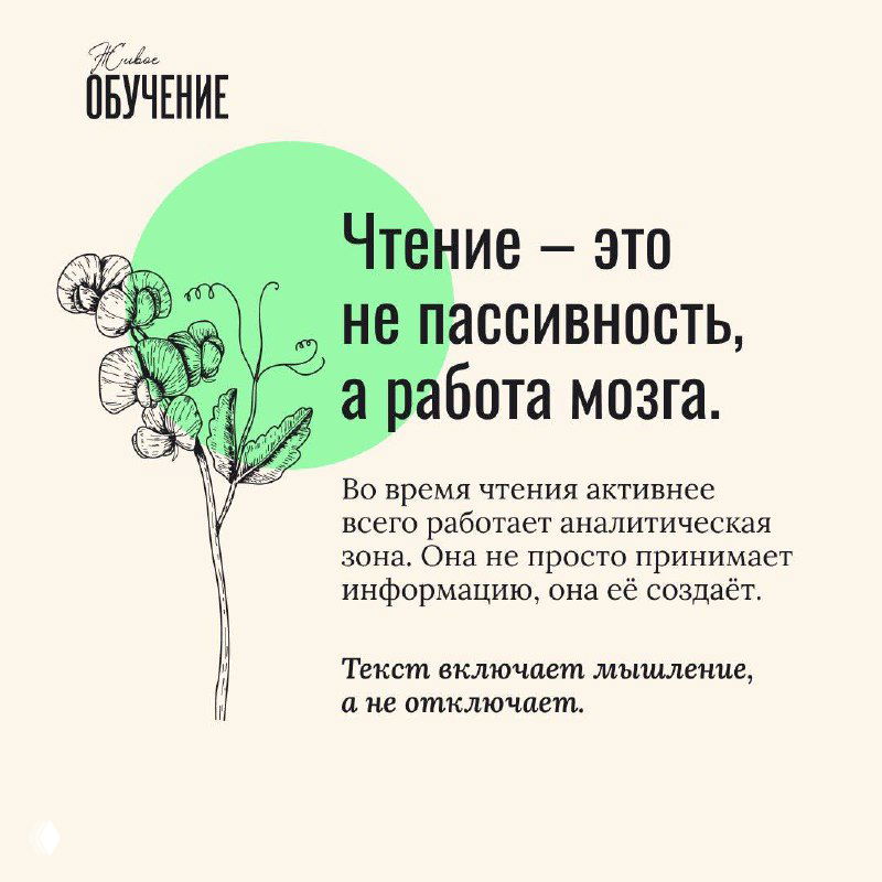 Квадратная карточка с текстом «Чтение — это не пассивность, а работа мозга», зелёный круг и тонкий ботанический эскиз на спокойном фоне, оформлено как пост.
