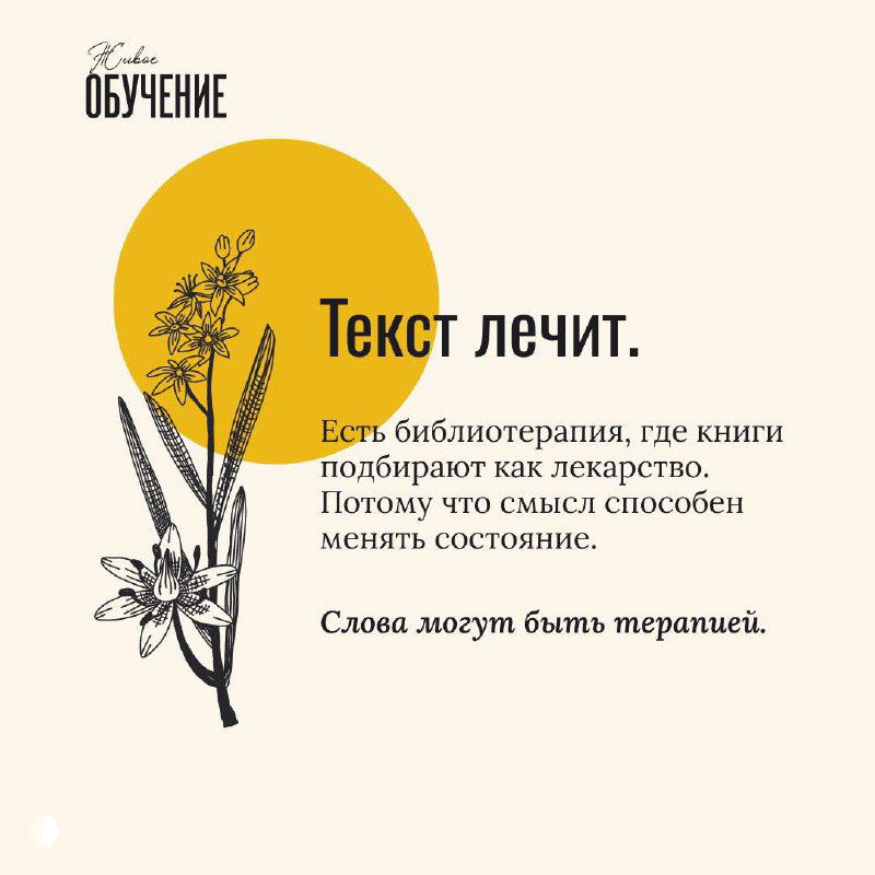 Квадратная карточка с надписью «Текст лечит», жёлтый круг и тонкий ботанический рисунок, спокойная цветовая палитра и акцент на терапевтической роли чтения.