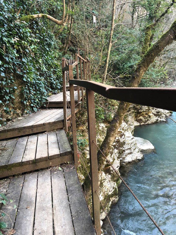 Узкая деревянная лестница и настил у скалы над прозрачной рекой, окружённые зелёной растительностью и лианами, вид сбоку.