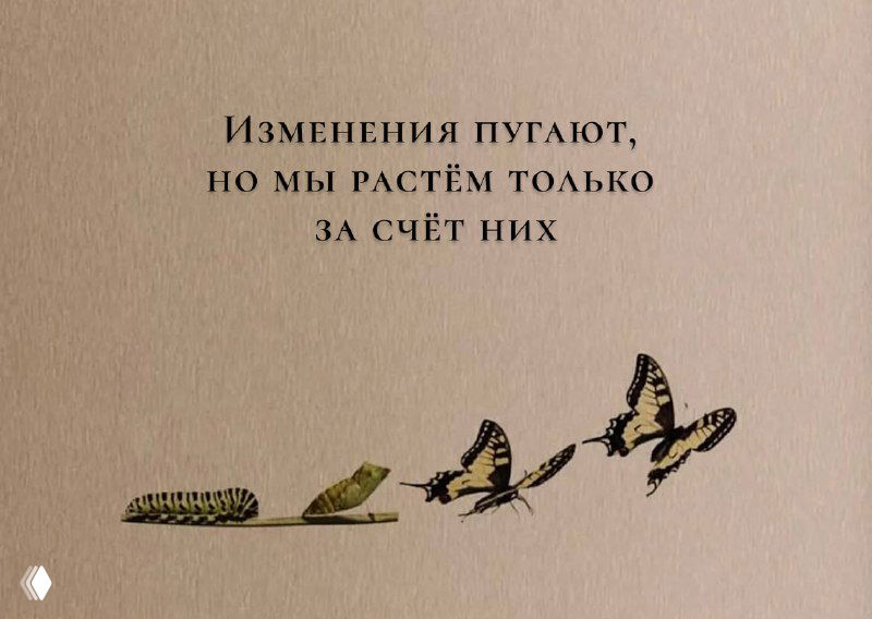 Как не бояться изменений и смотреть вперед