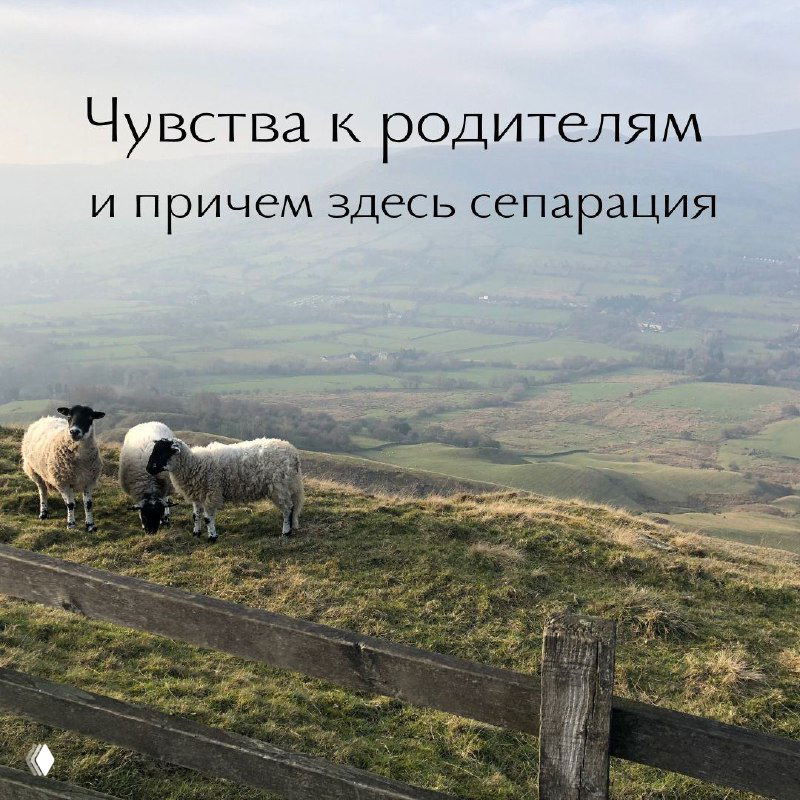 Могут ли наши чувства к родителям быть связаны с сепарацией?