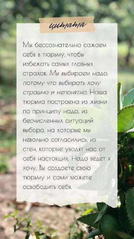 Крупный план карточки с заголовком и абзацем текста на размытом растительном фоне; советы по осознанию собственных требований.