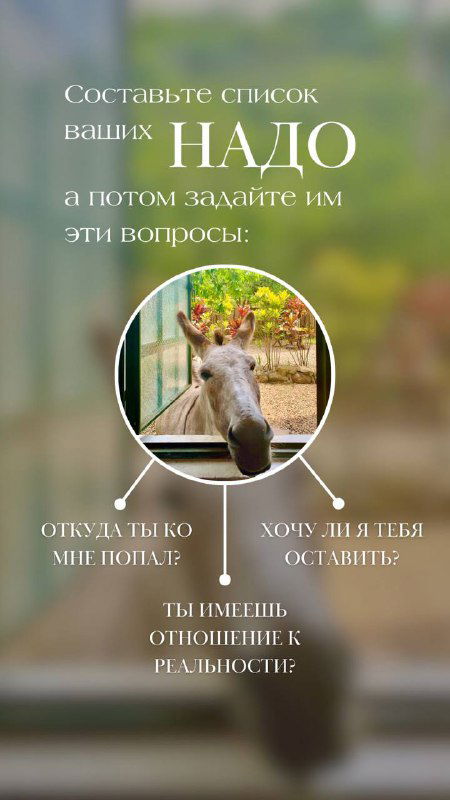 Размыт фон со снимком животного в круглом окне и перечнем вопросов: откуда только мне должно, хочу ли я это оставить и отношение к реальности.