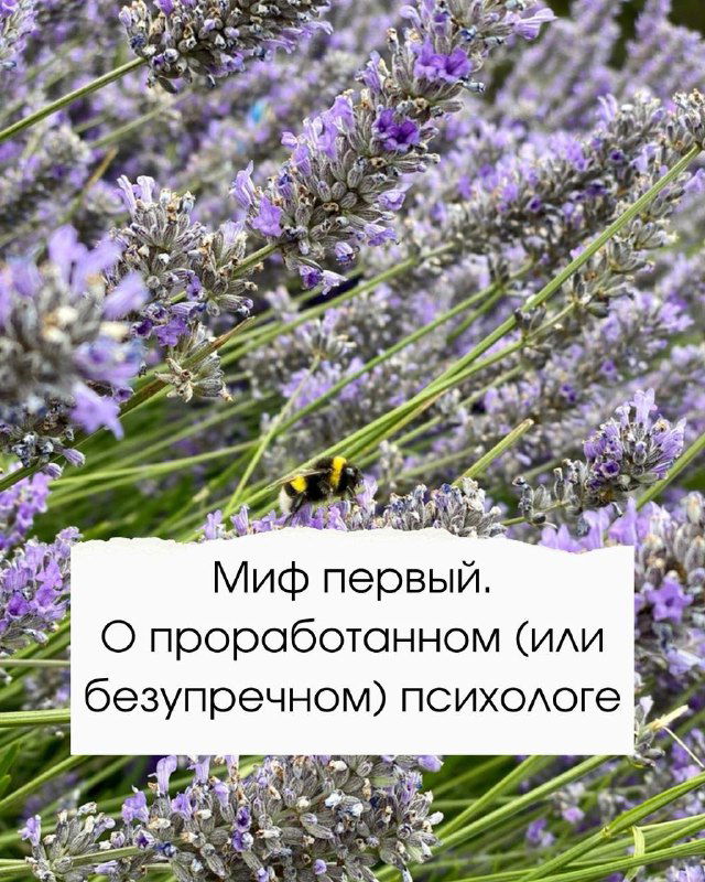 Миф первый. О проработанном (или безупречном) психологе