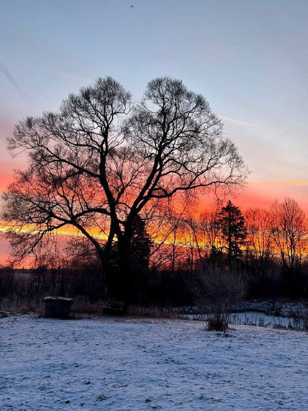 Зима как обнуление и перезагрузка