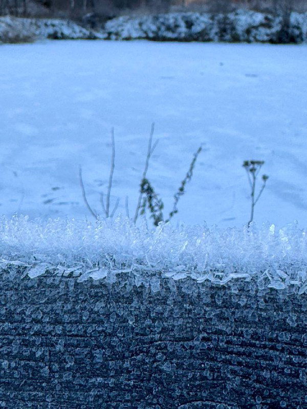 Крупный план ледяного берега замёрзшего водоёма: кристаллы льда на поверхности и размытый фон зимней глади под пасмурным небом.