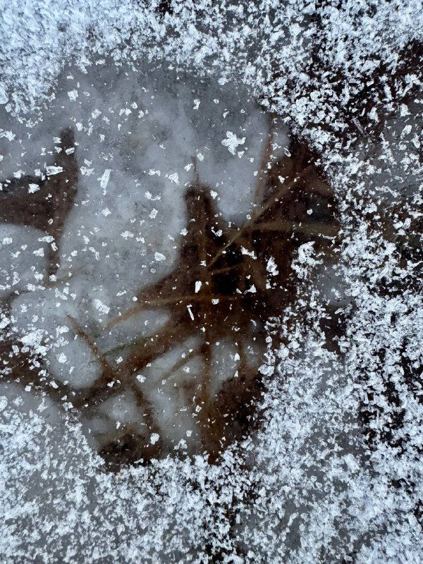 Снег и изморозь покрывают опавшие листья: близкий план замёрзшей листвы, крупные снежинки и текстура льда на земле рядом с домом.