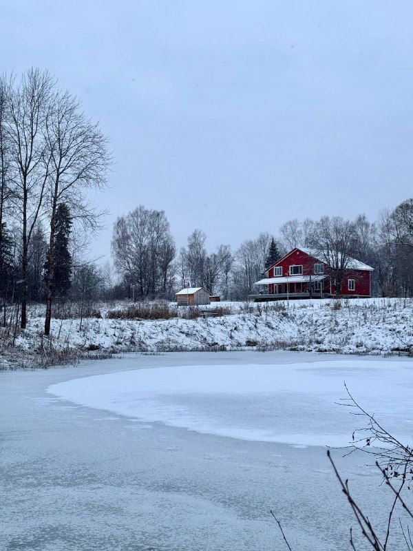 Красный деревянный дом на фоне заснеженного поля и замёрзшей заводи: пасторальная деревенская сцена в мягком голубовато-сером зимнем свете.