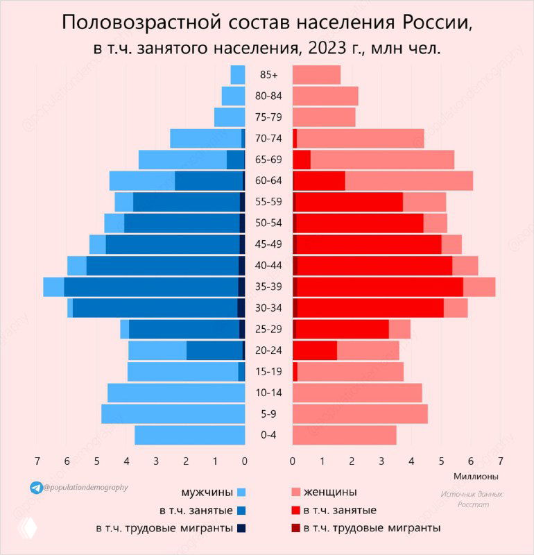Половозрастная пирамида России, 2023