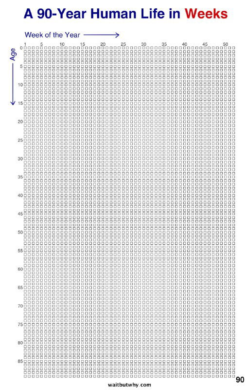 Схема «90 лет жизни в неделях» от Wait But Why: плотная матрица маленьких кружков, иллюстрирующая все недели жизни человека за 90 лет.