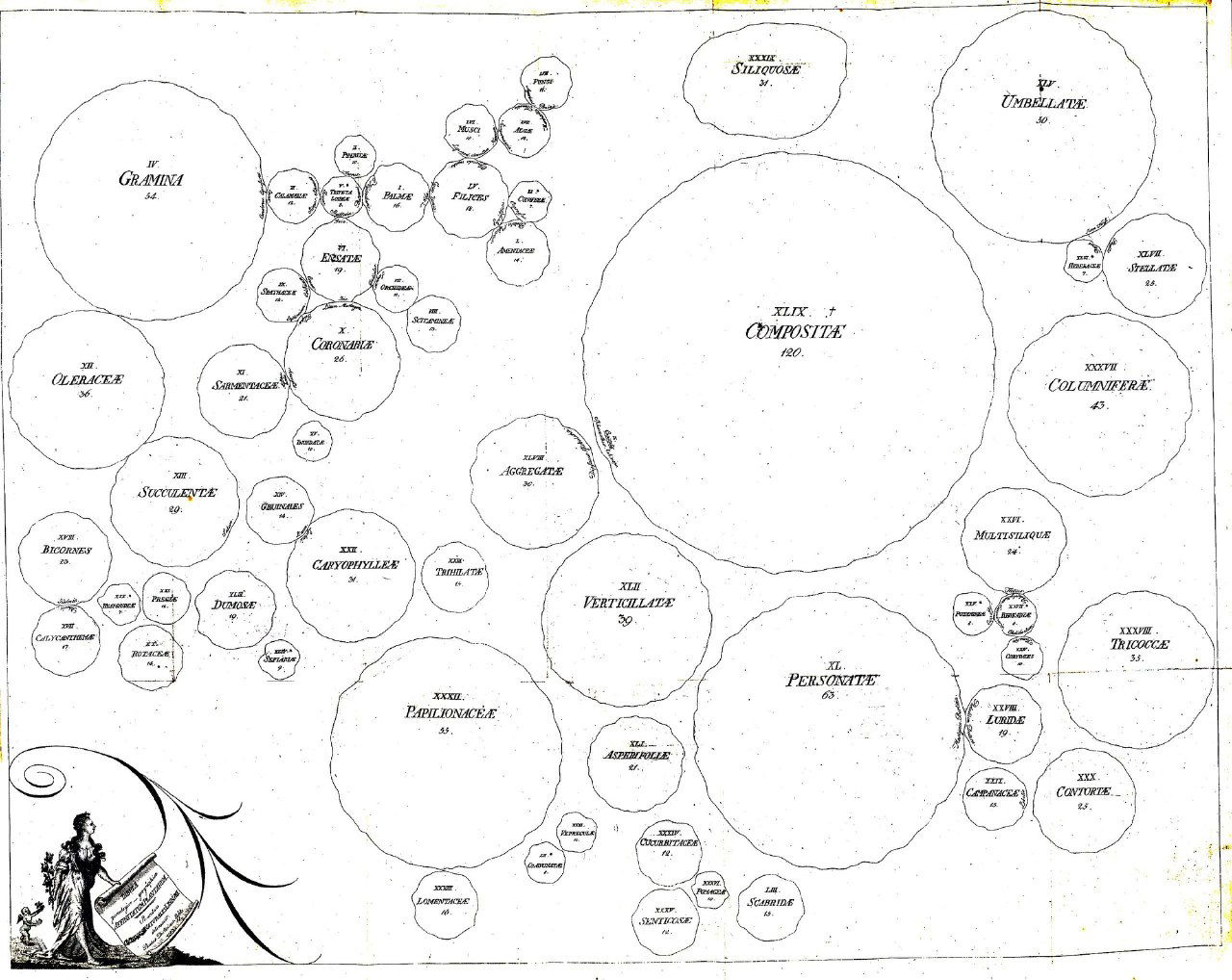Число видов и родство семейств растений, 1792