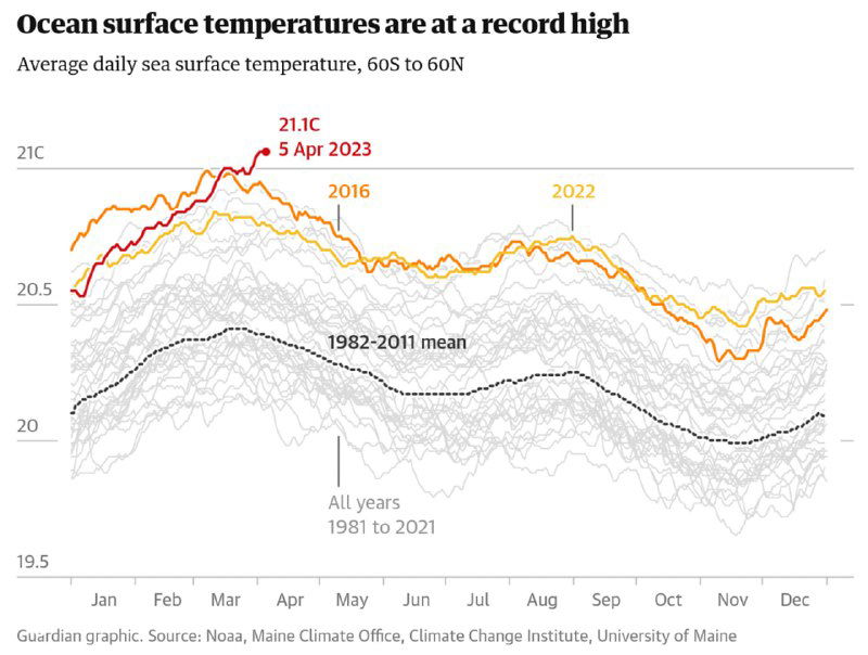 Диаграмма средней ежедневной температуры поверхности океана между 60°N и 60°S, 1981–2023: линии годов с выделением 2023 и среднего 1982–2011.