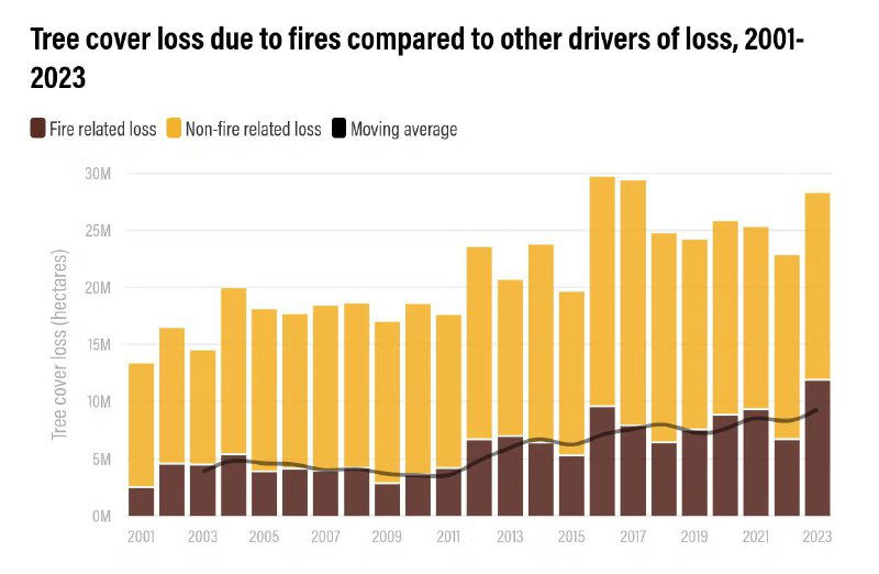 Потери лесного покрова из-за пожаров и других факторов, 2001–2023