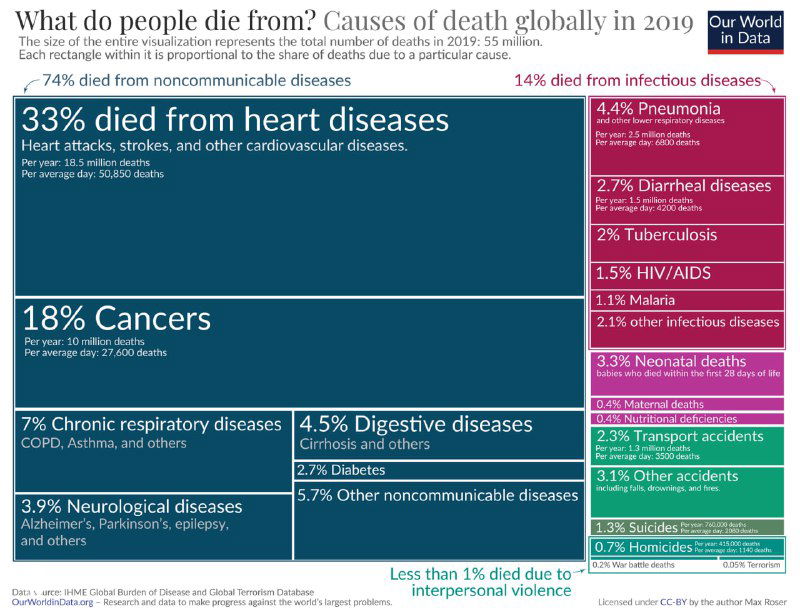 Причины смертности в мире, 2019