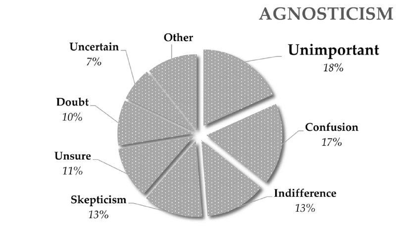 Круговая диаграмма по агностицизму: сектора «Unimportant», «Confusion», «Indifference», «Skepticism» с подписями и процентами на сером фоне.