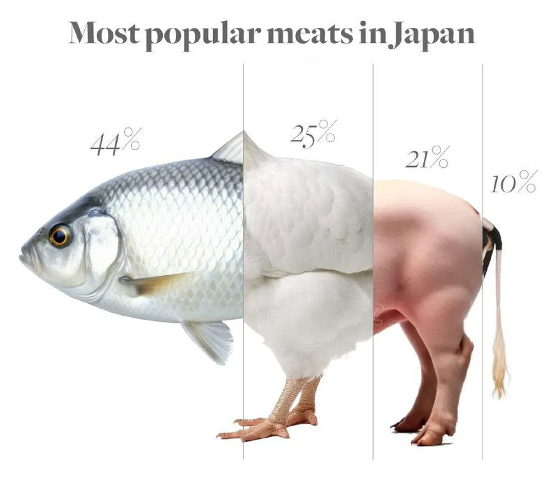 Инфографика: комбинированное изображение рыбы, курицы, свиньи и других источников белка с процентами долей — популярность мяса в Японии.