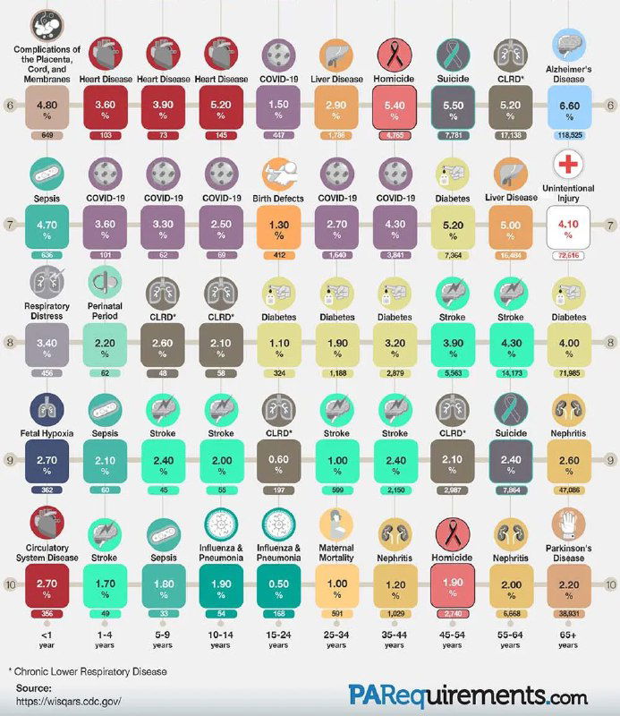 Детализированная инфографика PARequirements: причины смерти по возрастам в США, процентные доли и абсолютные значения в удобной цветовой сетке и иконках, 2022.
