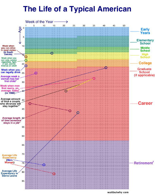 Диаграмма «Жизнь типичного американца»: цветные интервалы по возрасту с пометками школьного, карьерного и пенсионного периодов и точками жизненных событий.