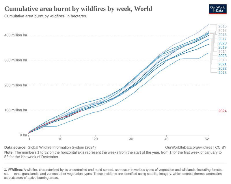 Лесные пожары в мире, 2002–2024