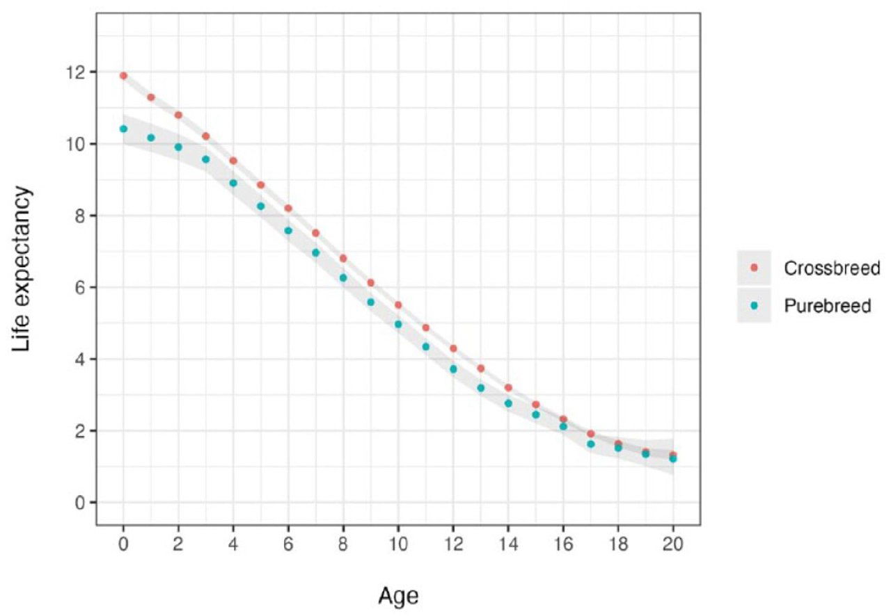 График: ожидаемая продолжительность жизни кошек по возрасту, сравнение purebreed (синий) и crossbreed (красный) с точками и доверительными полосами.