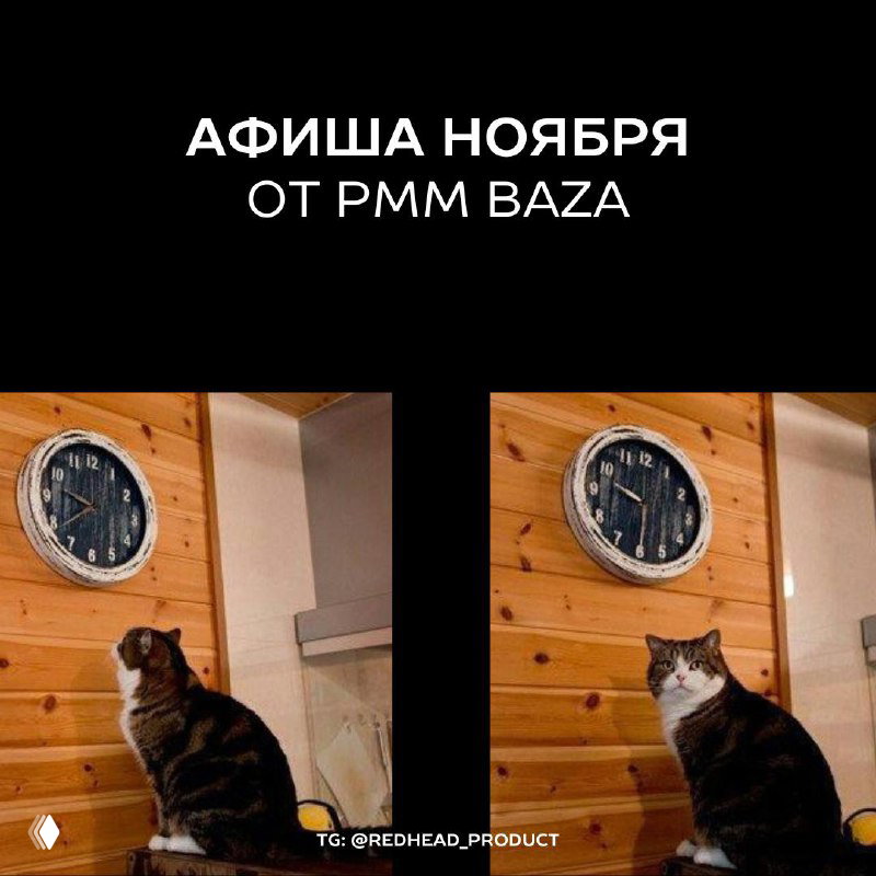 Афиша ноября — PMM Baza