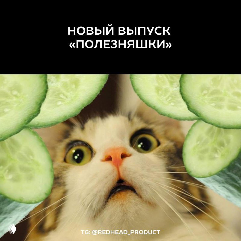 Полезняшки: игра, книга и подкаст