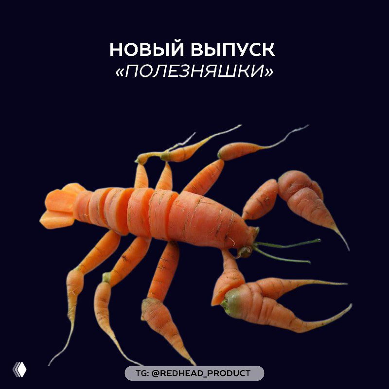 Летняя полезняшка: подкаст, книга и Perplexity Sonar Pro