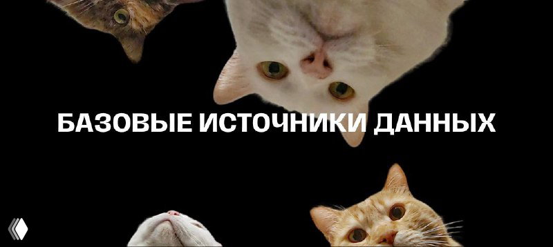 Базовые источники данных для анализа рынка
