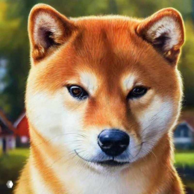 Собачники и кошатники: отличия характера