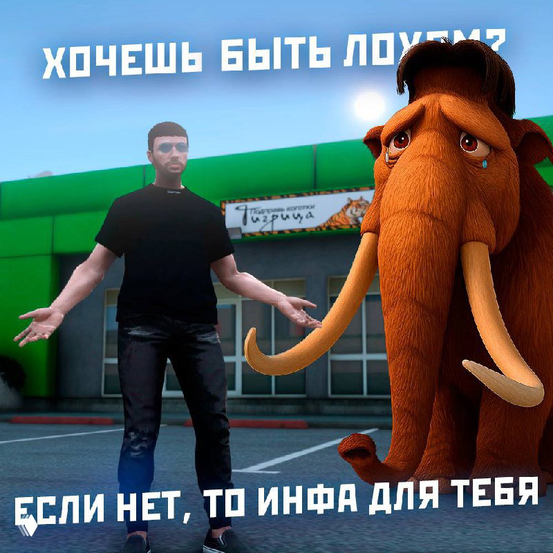 Миграция скамеров из Авито