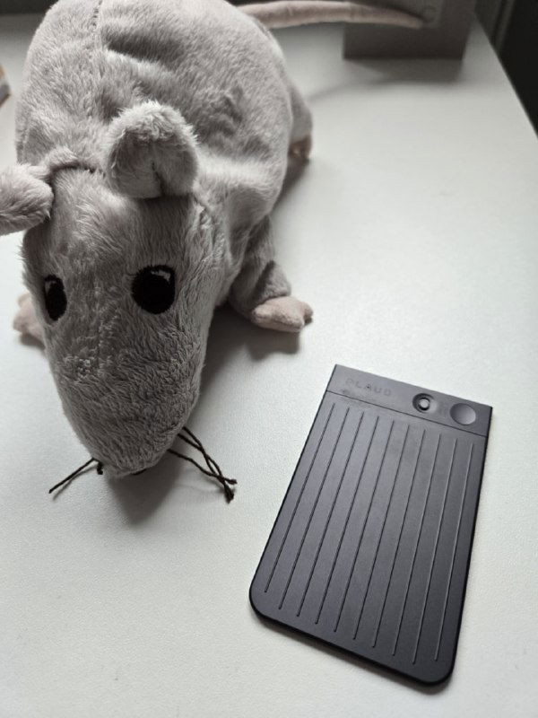 AI‑диктофон Plaud: опыт использования