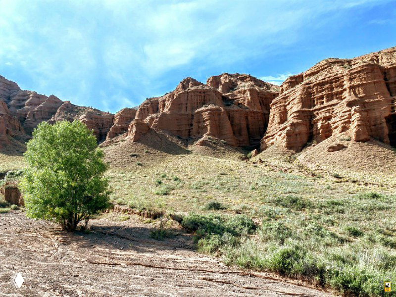 Крутые красные скалы Конорчека и одинокое дерево у сухого русла — контраст зелёного и охристых стен в ясный день.