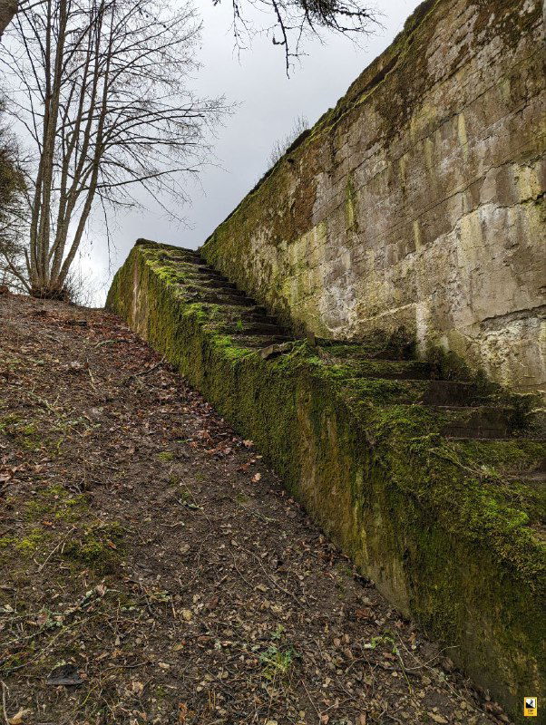 Бетонные ступени и откос у стен шлюза, покрытые мхом и влажностью; следы времени на массивной укрепляющей конструкции шлюза №2.