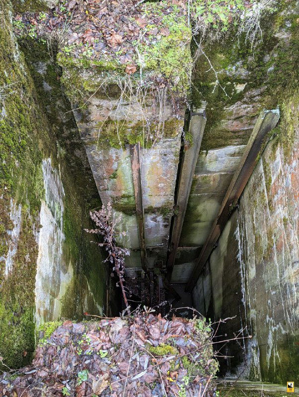Узкий глубокий вертикальный колодец шлюза, заполненный листьями и мусором; стены покрыты мхом и следами влаги внизу.