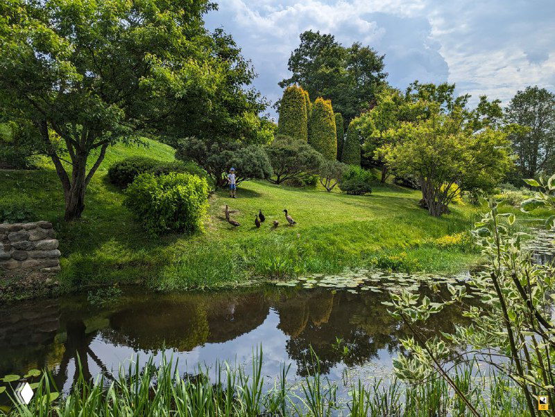 Террасы и зелёные холмы с декоративными элементами и тихими уголками; естественные и благоустроенные части сада сосуществуют рядом.