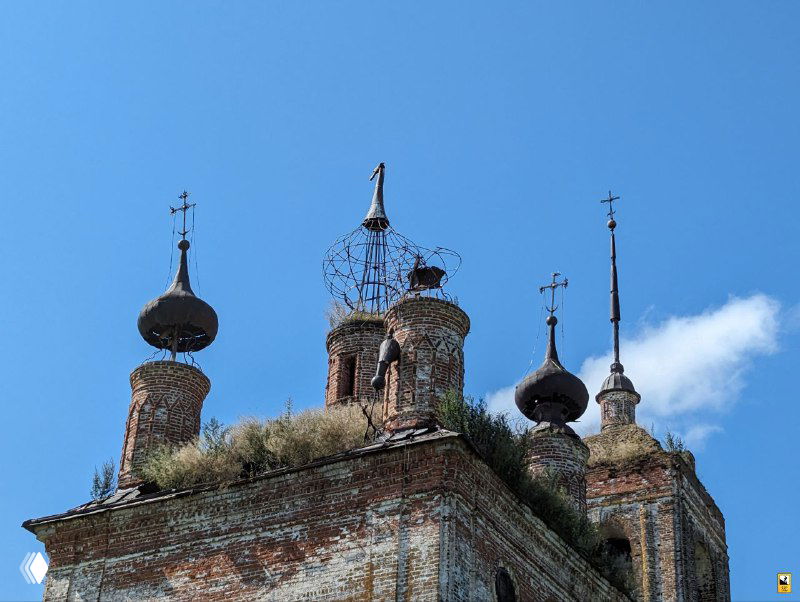 Купола и барабаны церкви в Киболе: части барабанов с луковичными главками, частично поросшие травой и поражённые временем на фоне голубого неба.