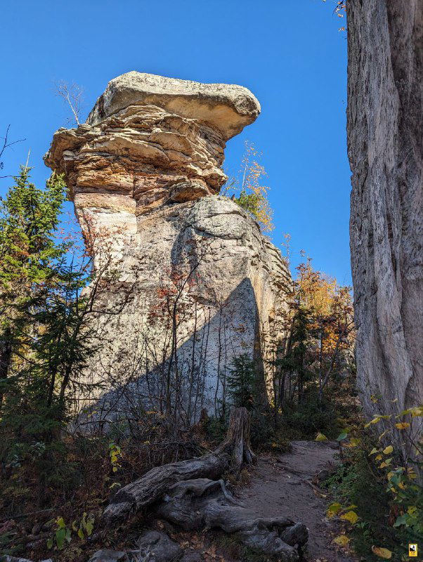 Высокая одиночная скала‑столб из песчаника, солнечные блики и хвойные деревья у основания, тропинка для подъёма видна у подошвы.
