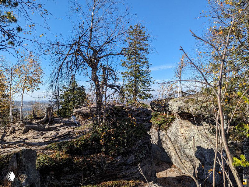 Панорамный вид на вершину скального массива с редкими деревьями, корнями и осенней палитрой, видны складчатые каменные формы.