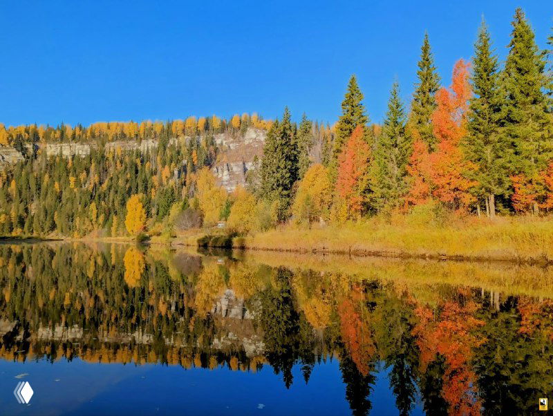 Широкая осенняя панорама у реки Усьва: разноцветные деревья на берегу и идеальное зеркальное отражение в спокойной воде ранним утром.