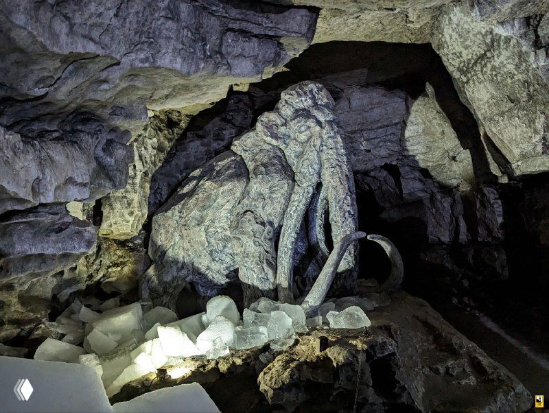Каменное образование в пещере, напоминающее силуэт мамонта; ряды льда и обломков породы вокруг, съёмка при направленном свете экскурсии в Кунгуре.