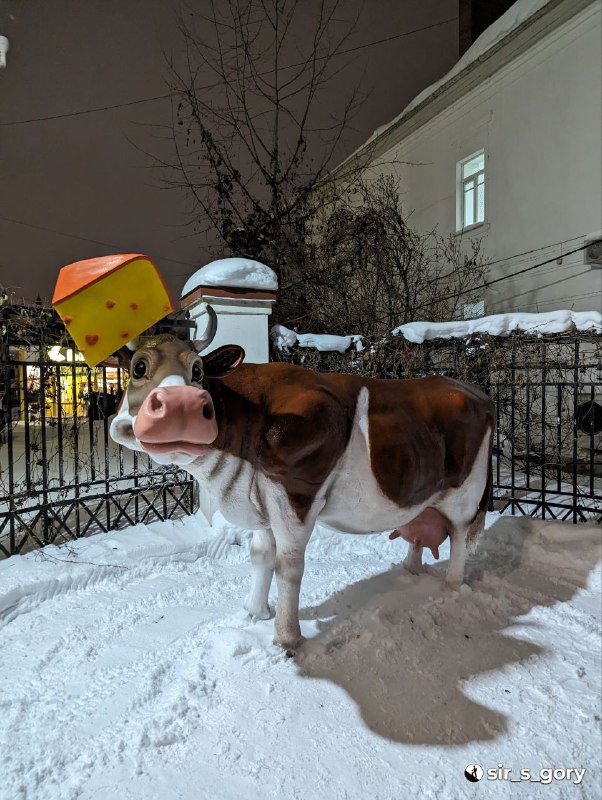 Декоративная скульптура коровы на улице в снегу — городская инсталляция, связанная с молочной и сырной темой региона.