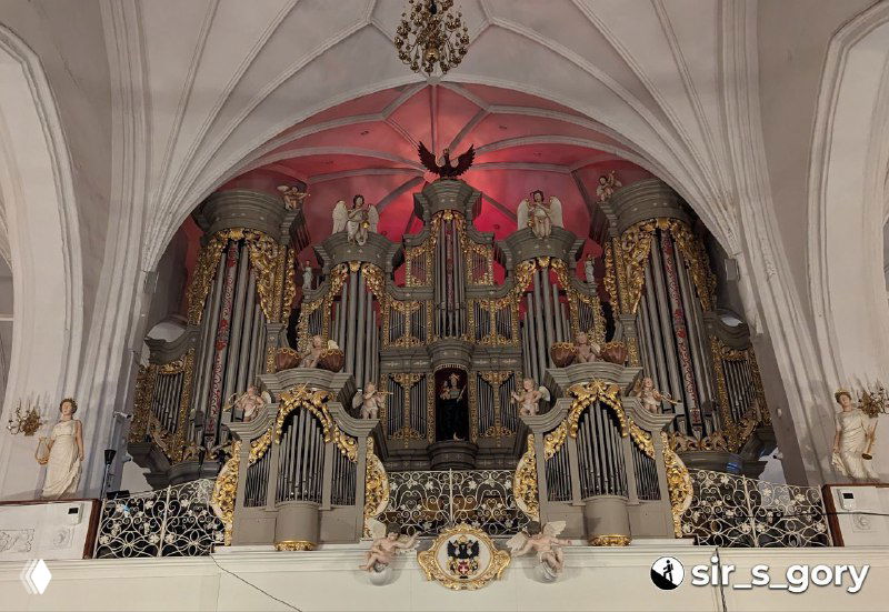 Фрагмент большого органа в Кафедральном соборе: декорированные трубы, резные элементы и внушительный размер инструмента на фоне стены храма.