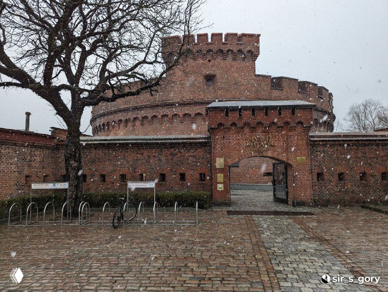 Музей янтаря в Башне Дона: янтарное разнообразие